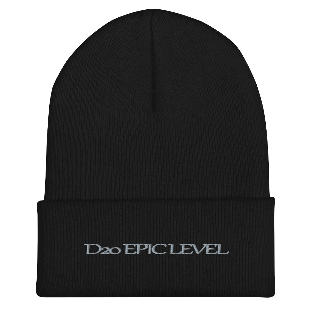 D20 Epic Level Cuffed Beanie