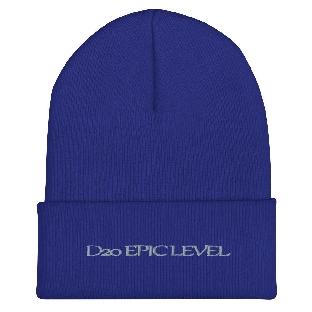 D20 Epic Level Cuffed Beanie